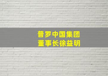 普罗中国集团 董事长徐益明